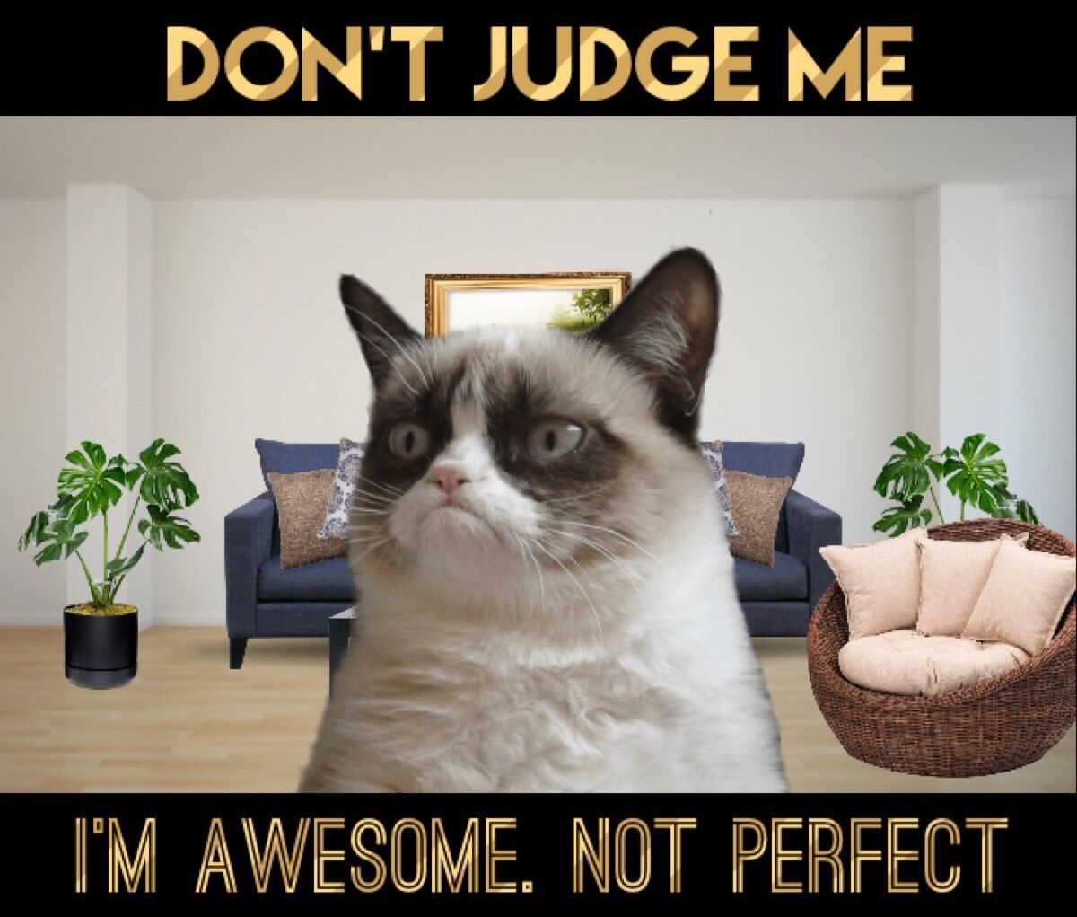 Grumpy Cat Says Don’t Judge Me_ I’m Awesome.jpg