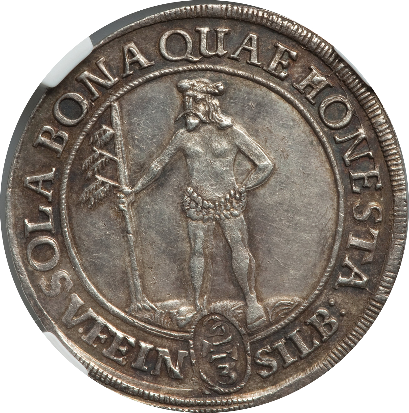 GSBru169303.jpg