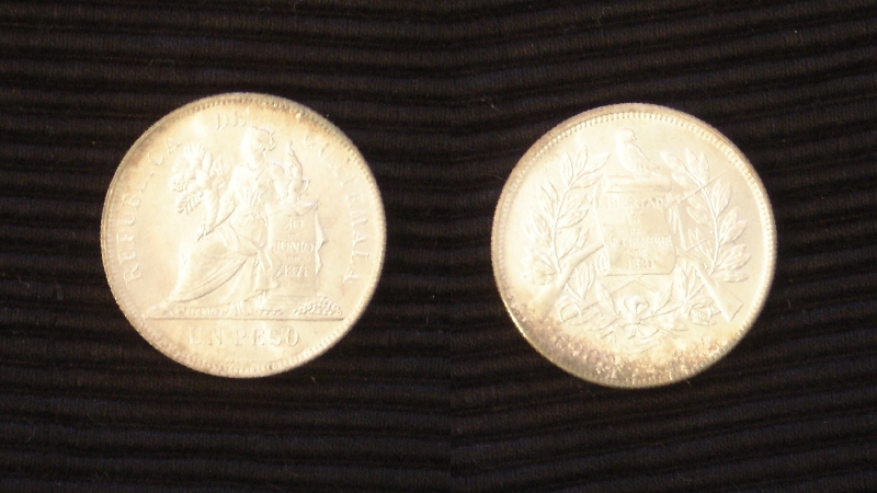 Gua_1P_1894_both.jpg