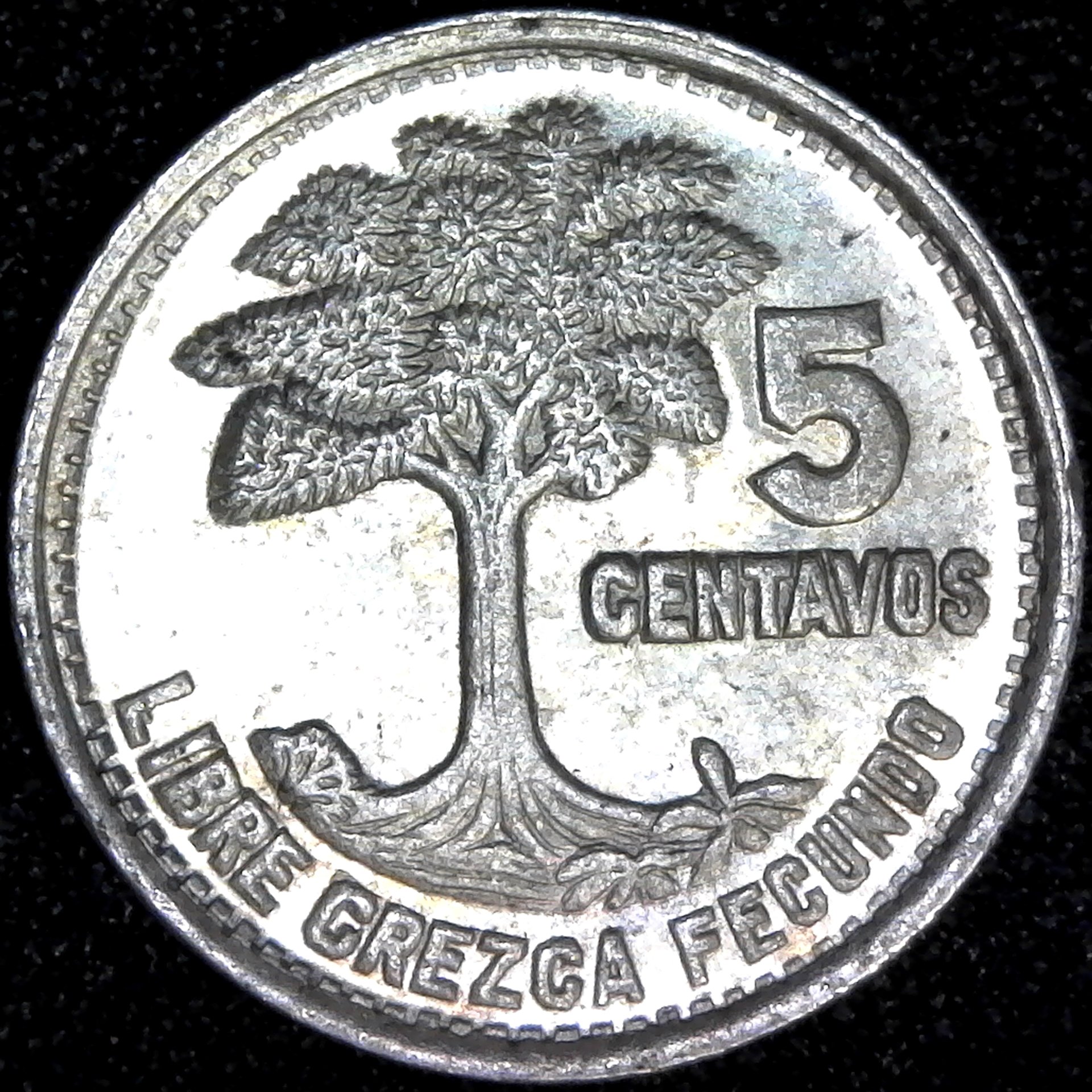 Guatemala 5 Centavos 1957 rev.jpg