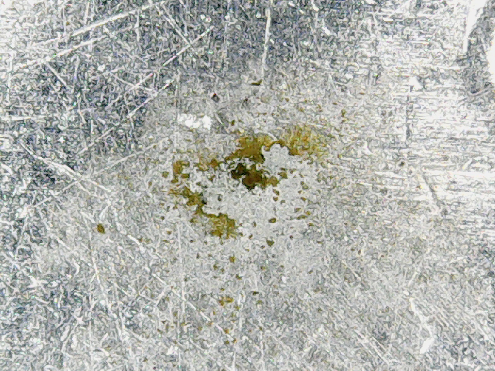 gunk 1.jpg