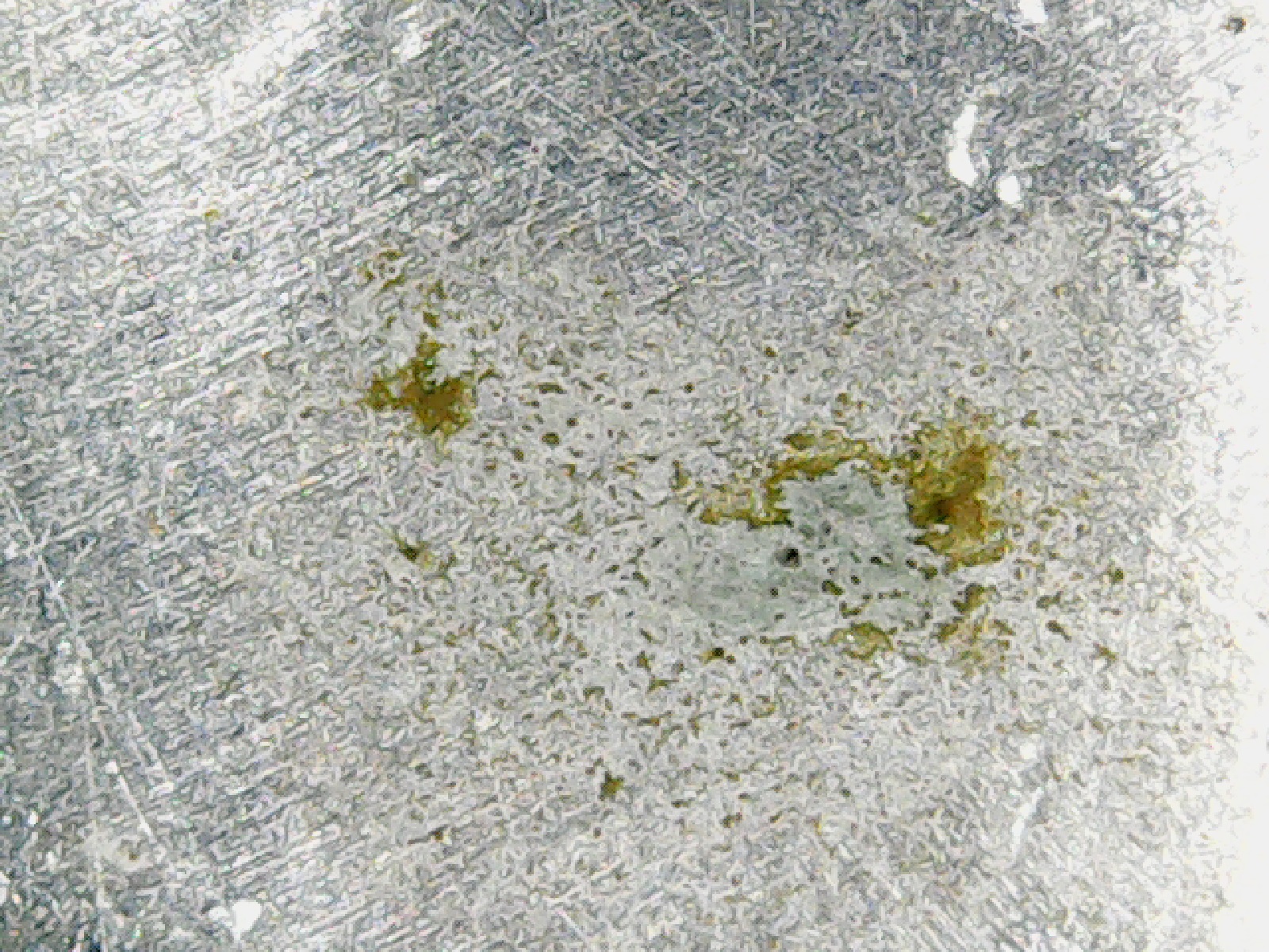 gunk 2.jpg