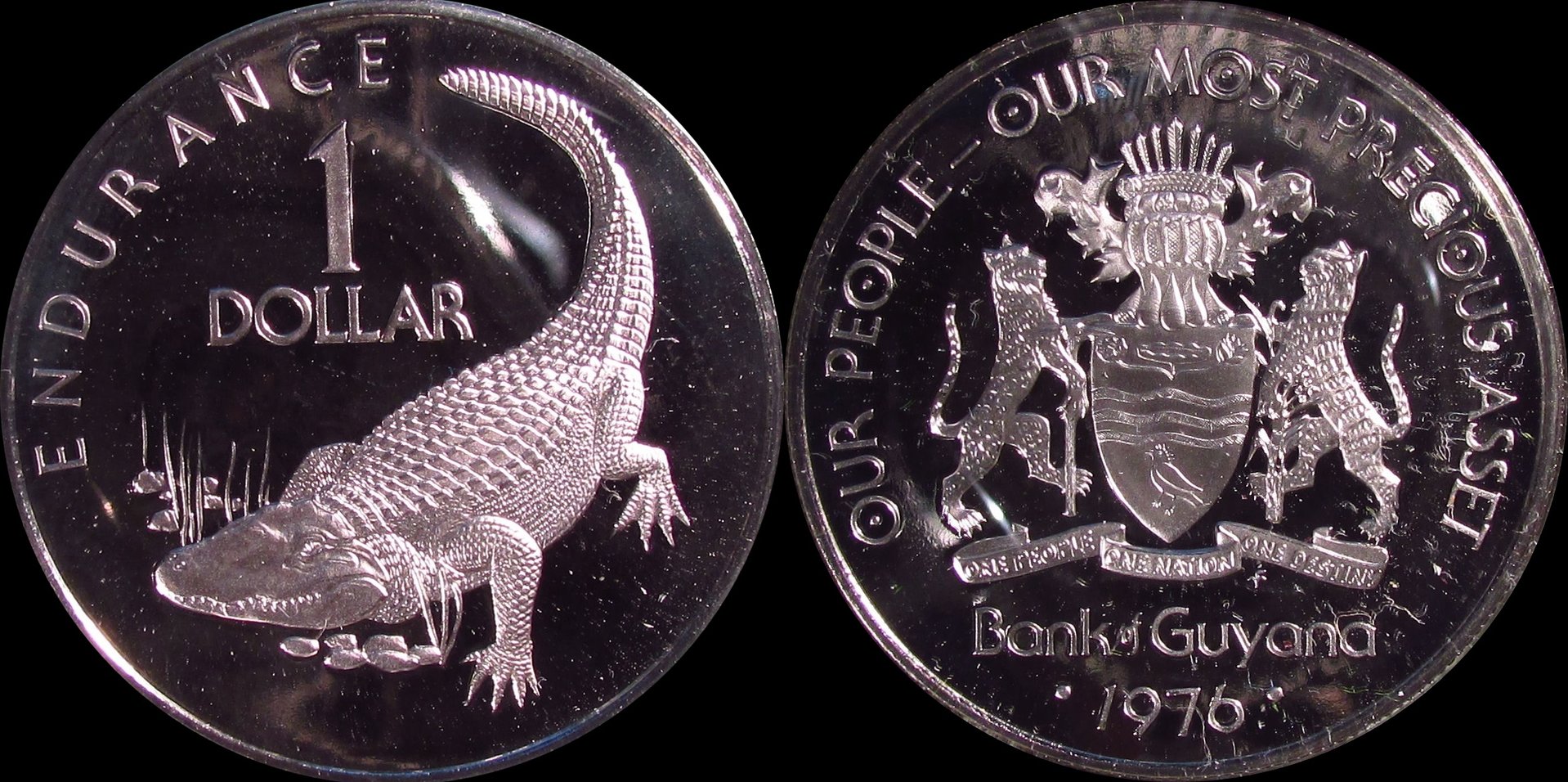 guyana.jpg