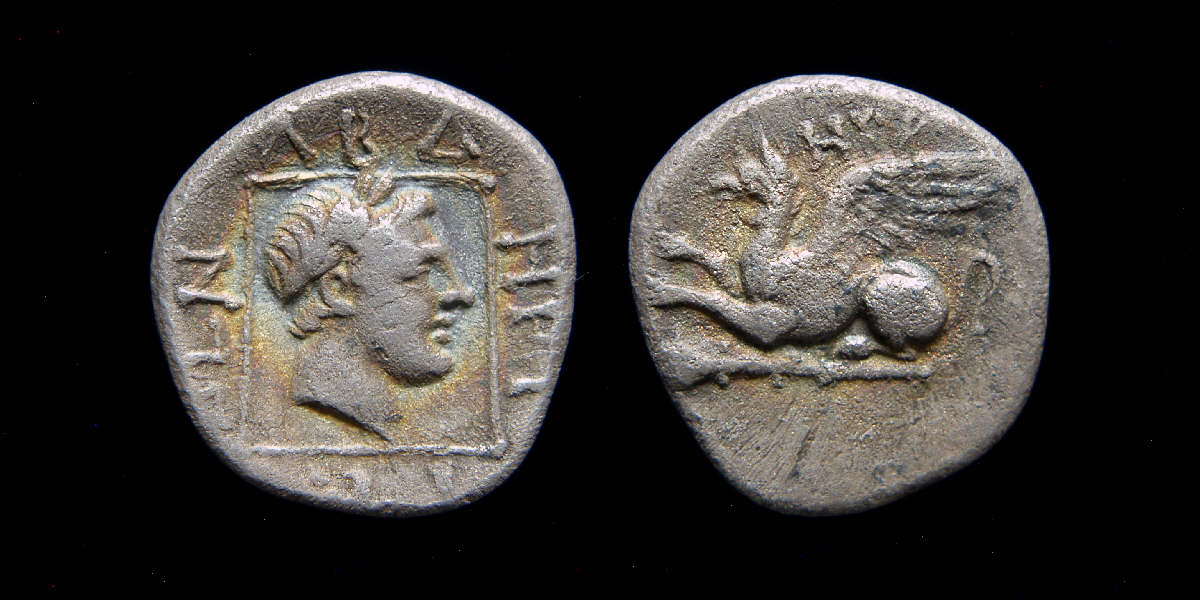 Gyphon apollo toned.JPG