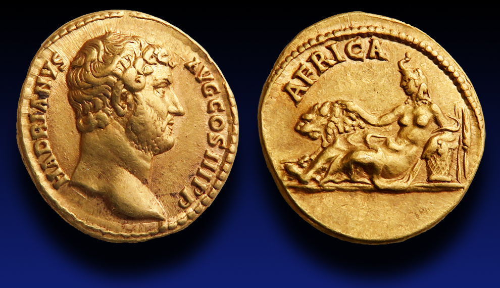 H2 - Hadrian AV aureus Africa lion.jpg