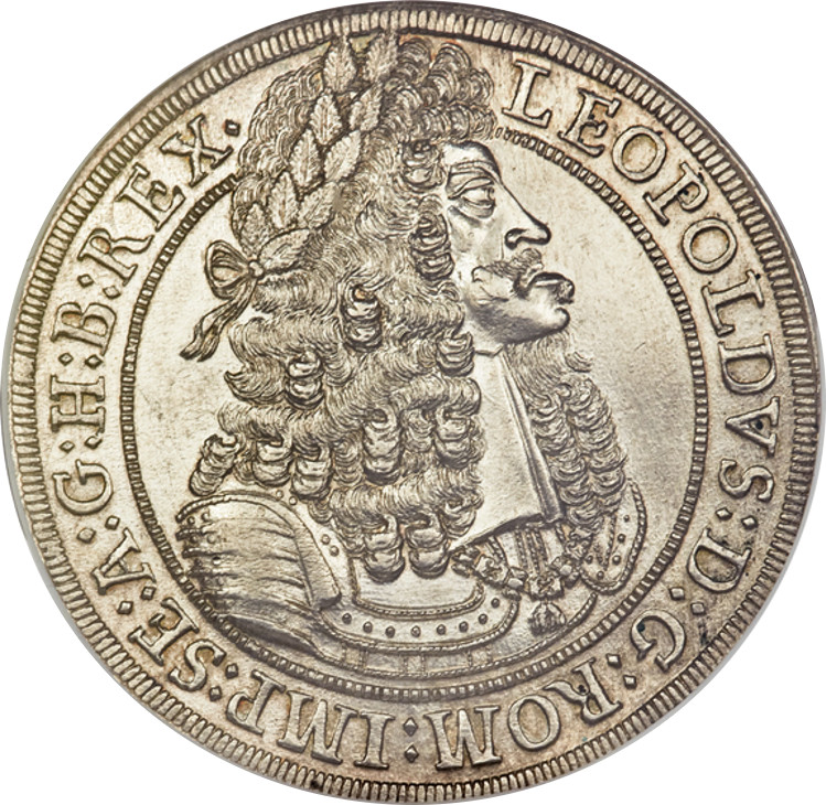 Habsburg Jaw.jpg