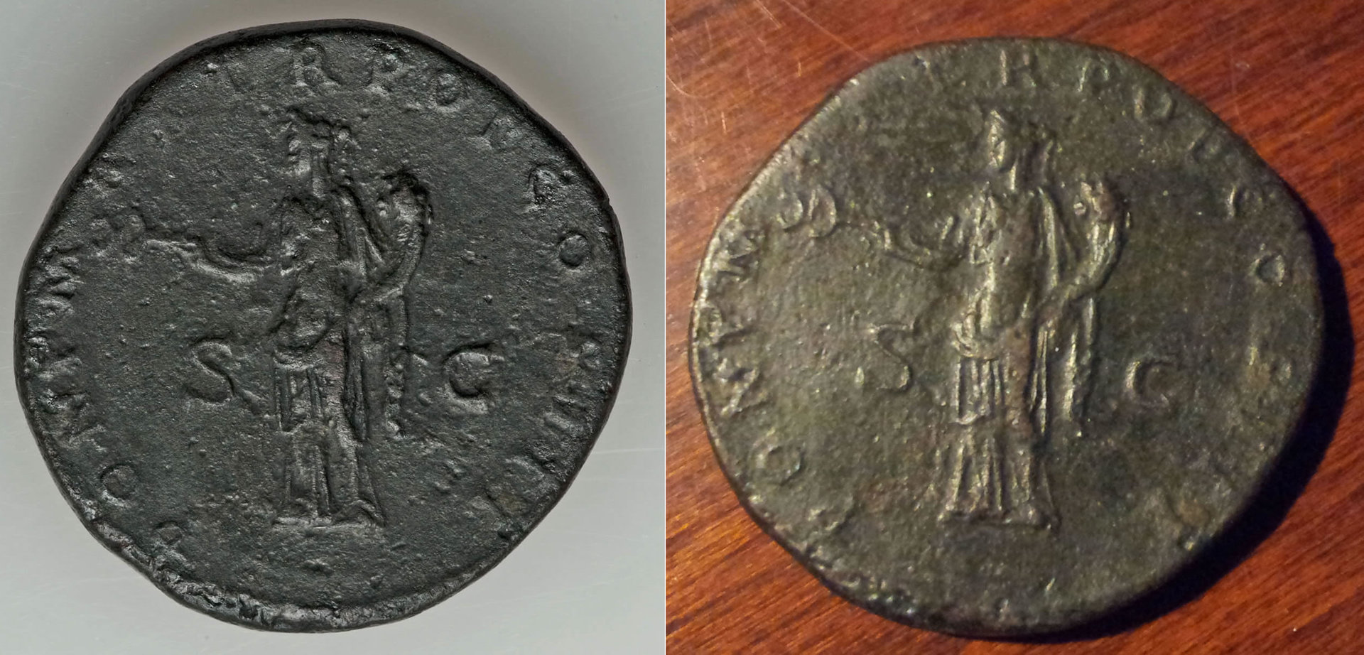 Hadrian--2back.jpg