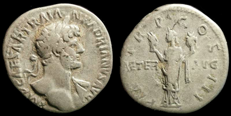 Hadrian 5.jpg