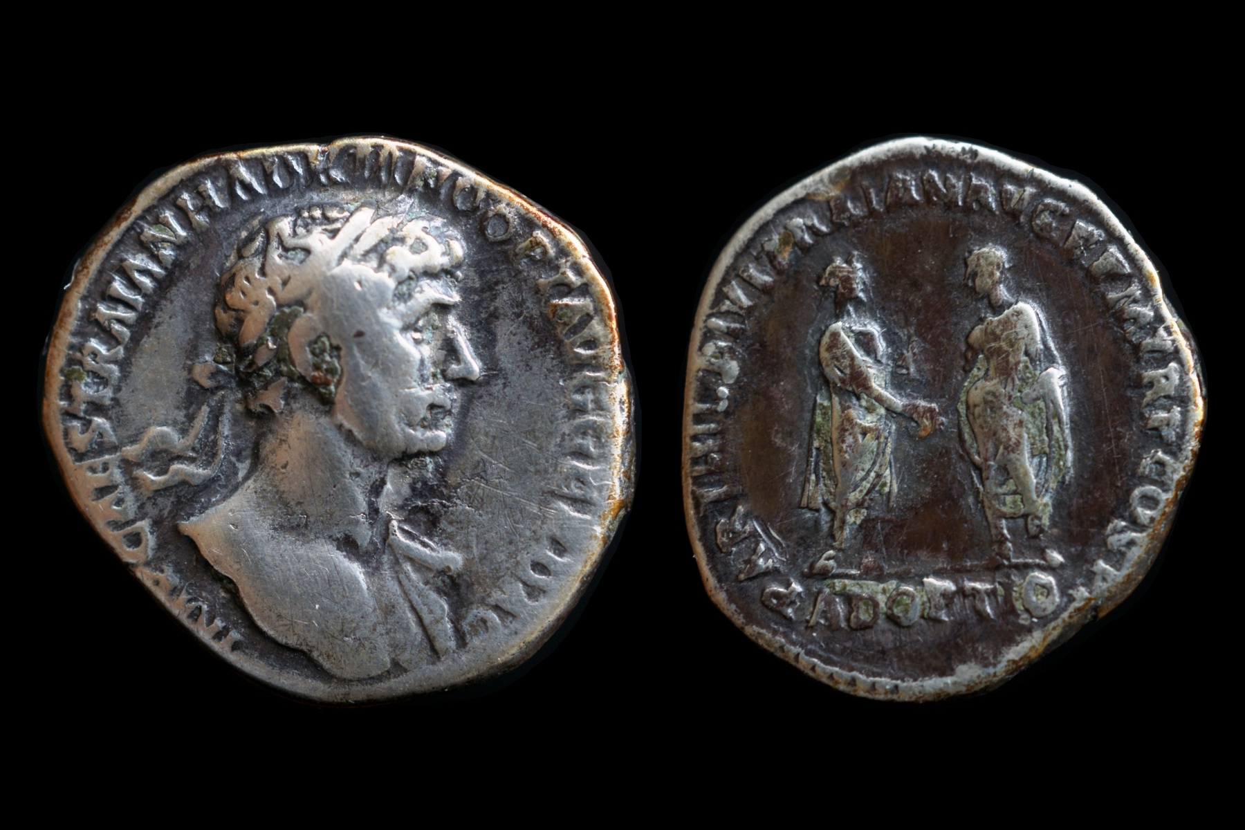 Hadrian adopt.jpg