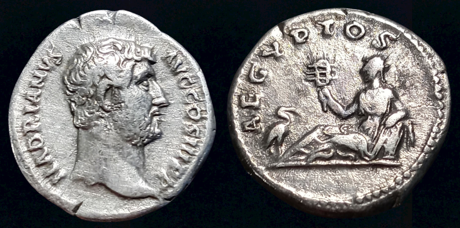 Hadrian-Aegyptos - new combined photo.png