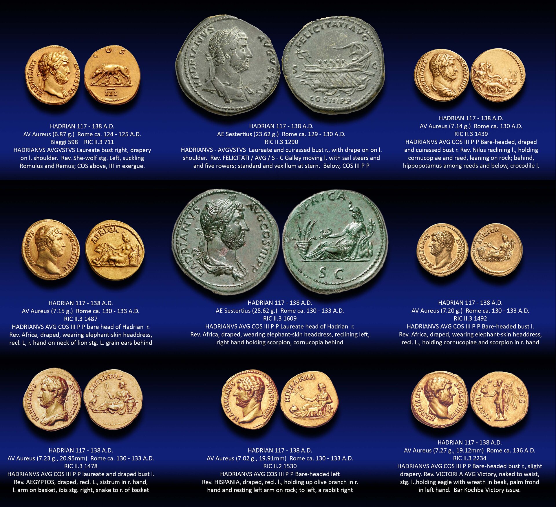 Hadrian collection.jpg