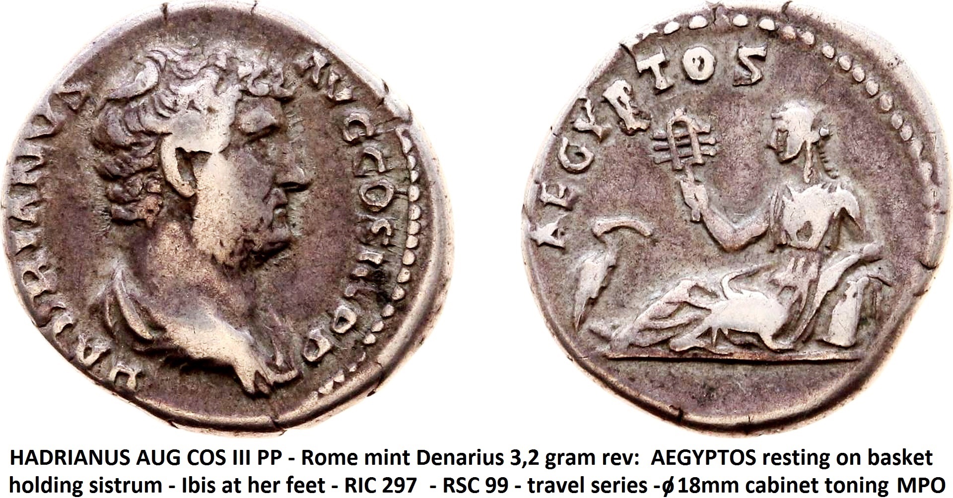 Hadrian denarius Egypt.jpg