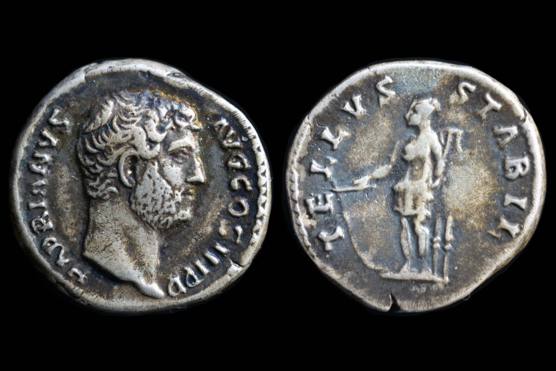 Hadrian f.jpg