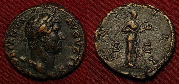 Hadrian feeding snake.JPG