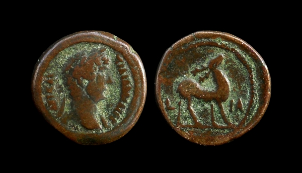 hadrian obol 6.jpg