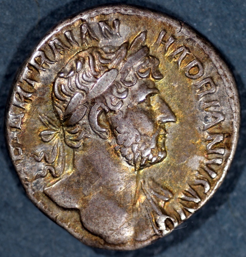 Hadrian Obv.JPG