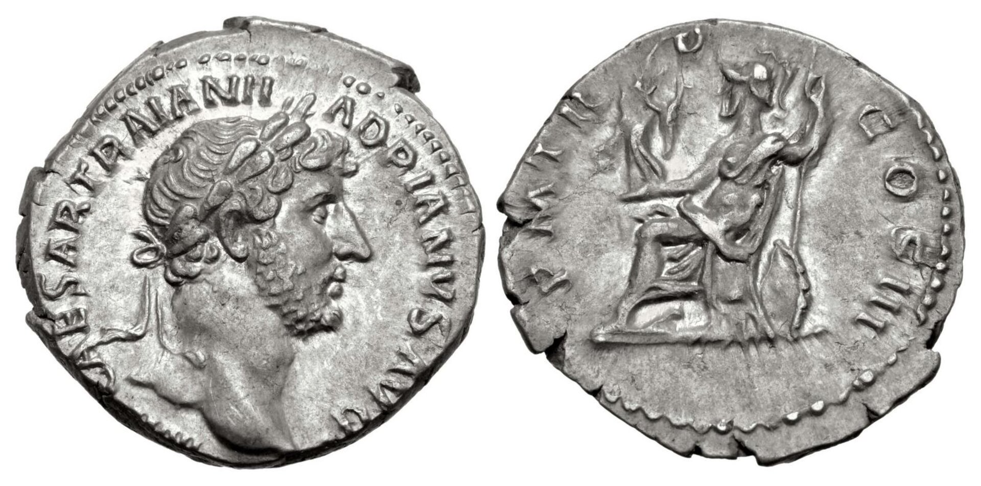 hadrian roma den.jpg