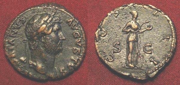 Hadrian Salus feeding snake.JPG