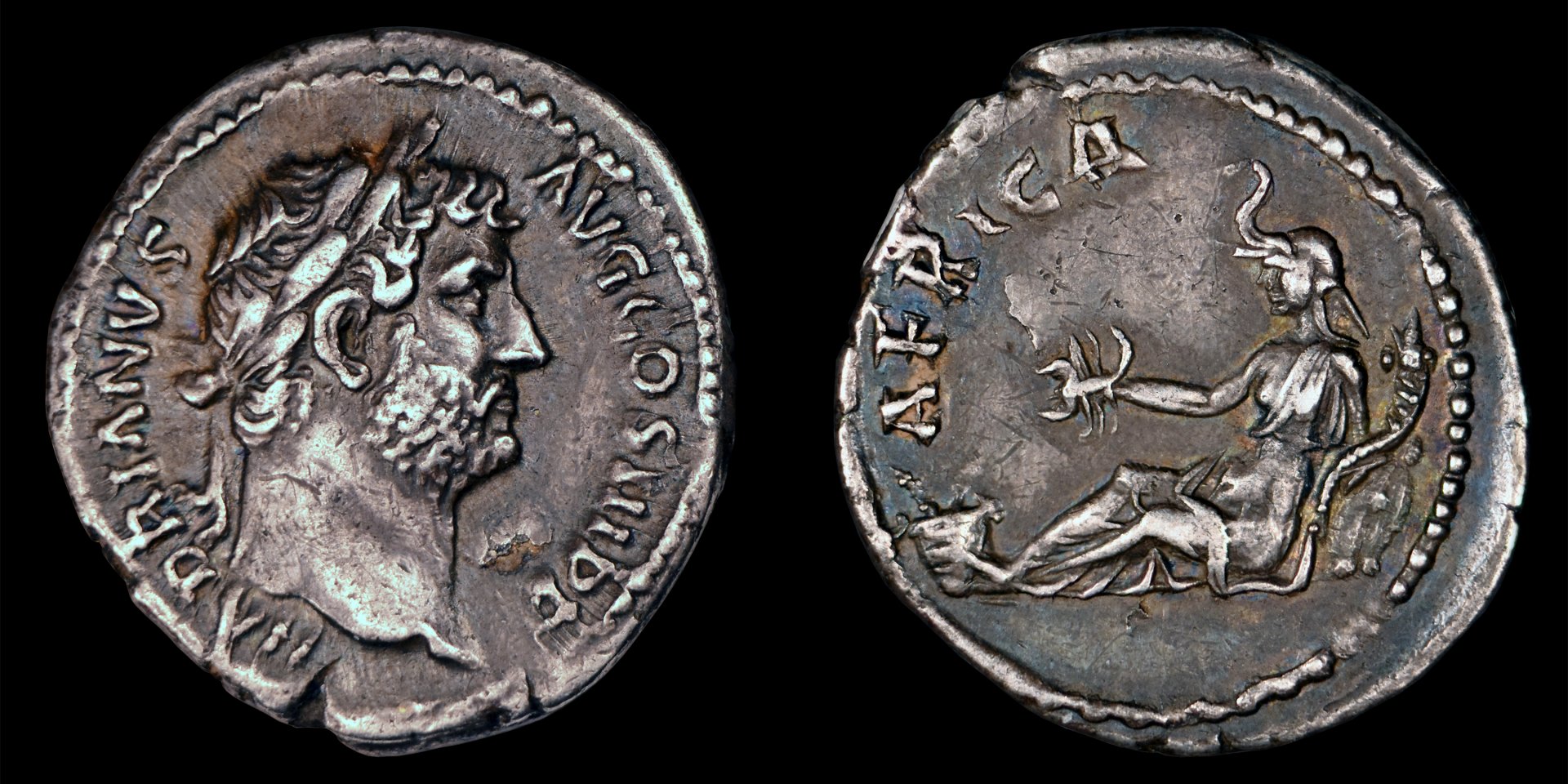 Hadrian_Africa_Den.jpeg