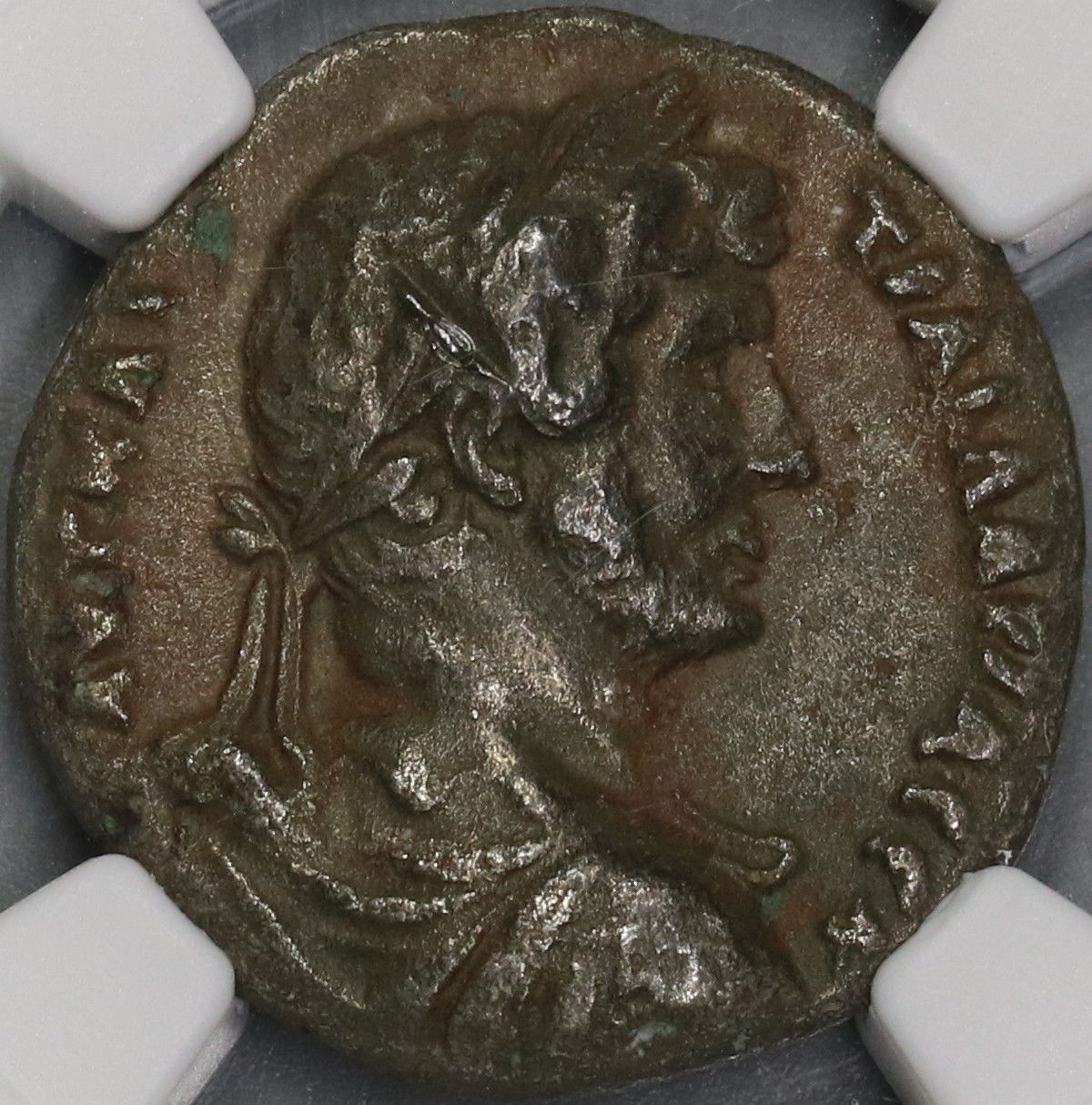 Hadrian_obv.jpg