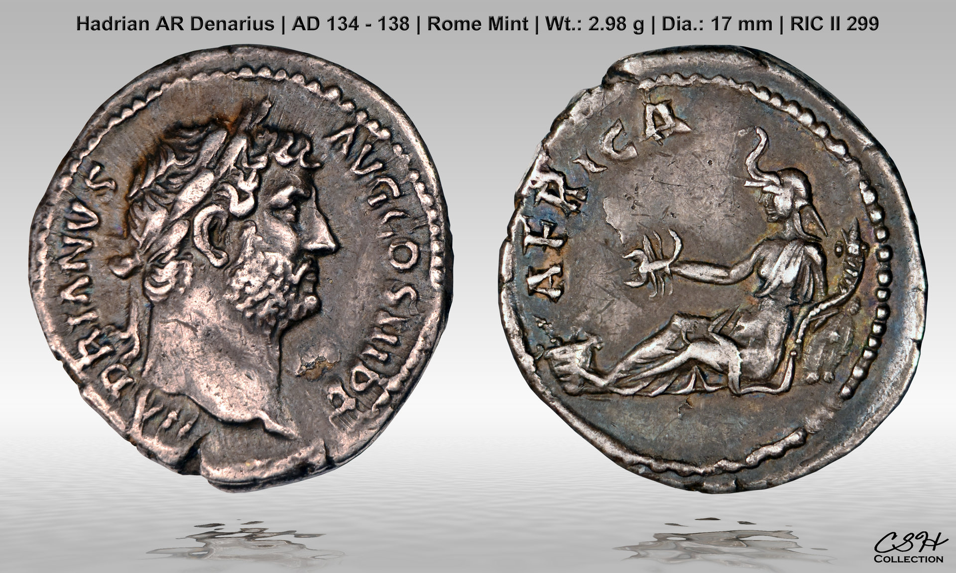 Hadrian_Trav_Den_134-138_CSH.jpg