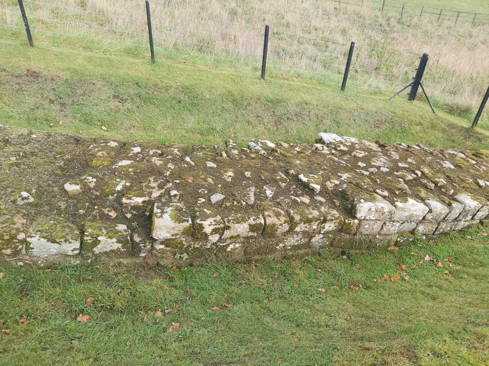 Hadrian's wall.jpg