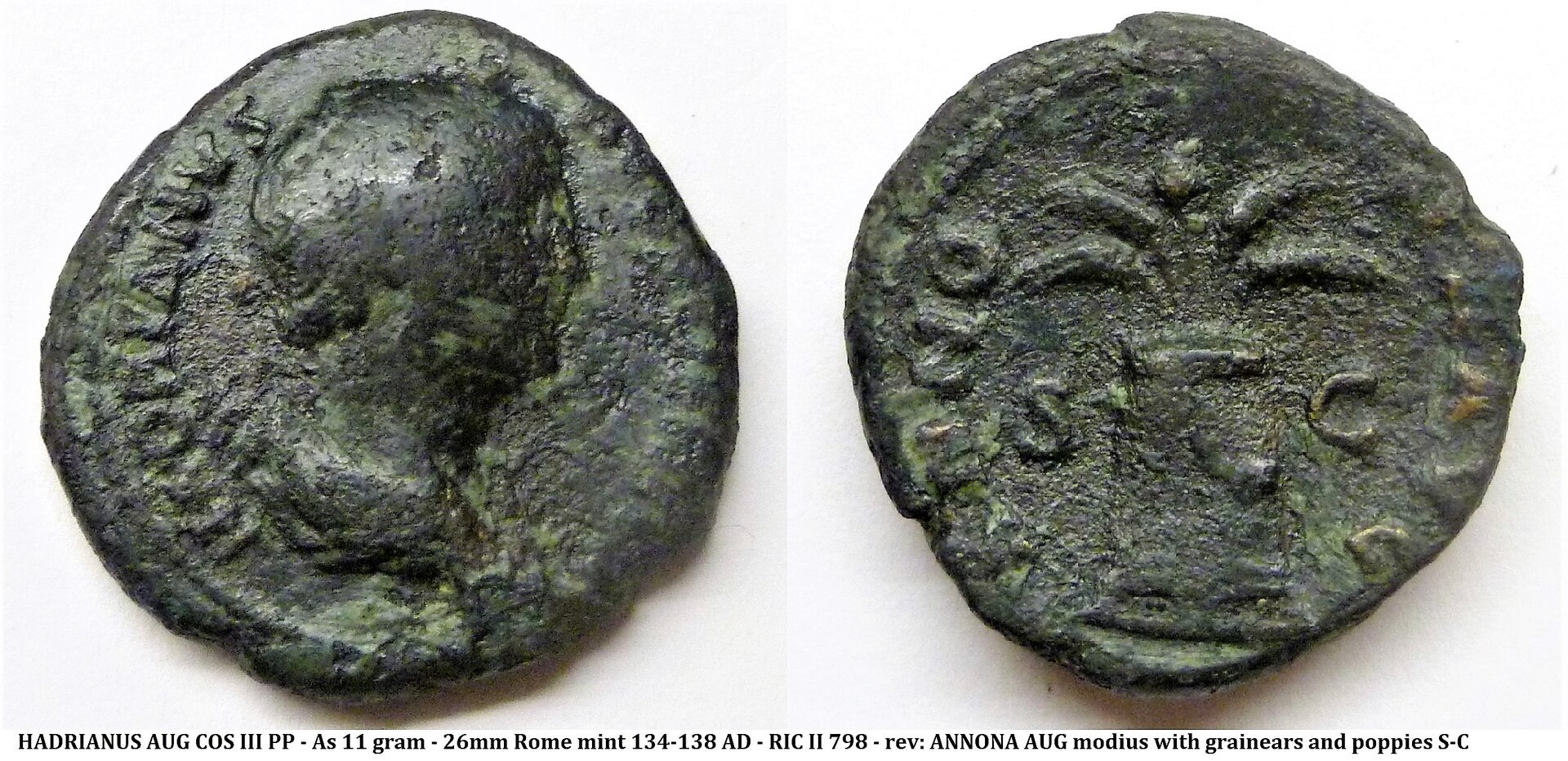 Hadrianus ANNONA bv.jpg