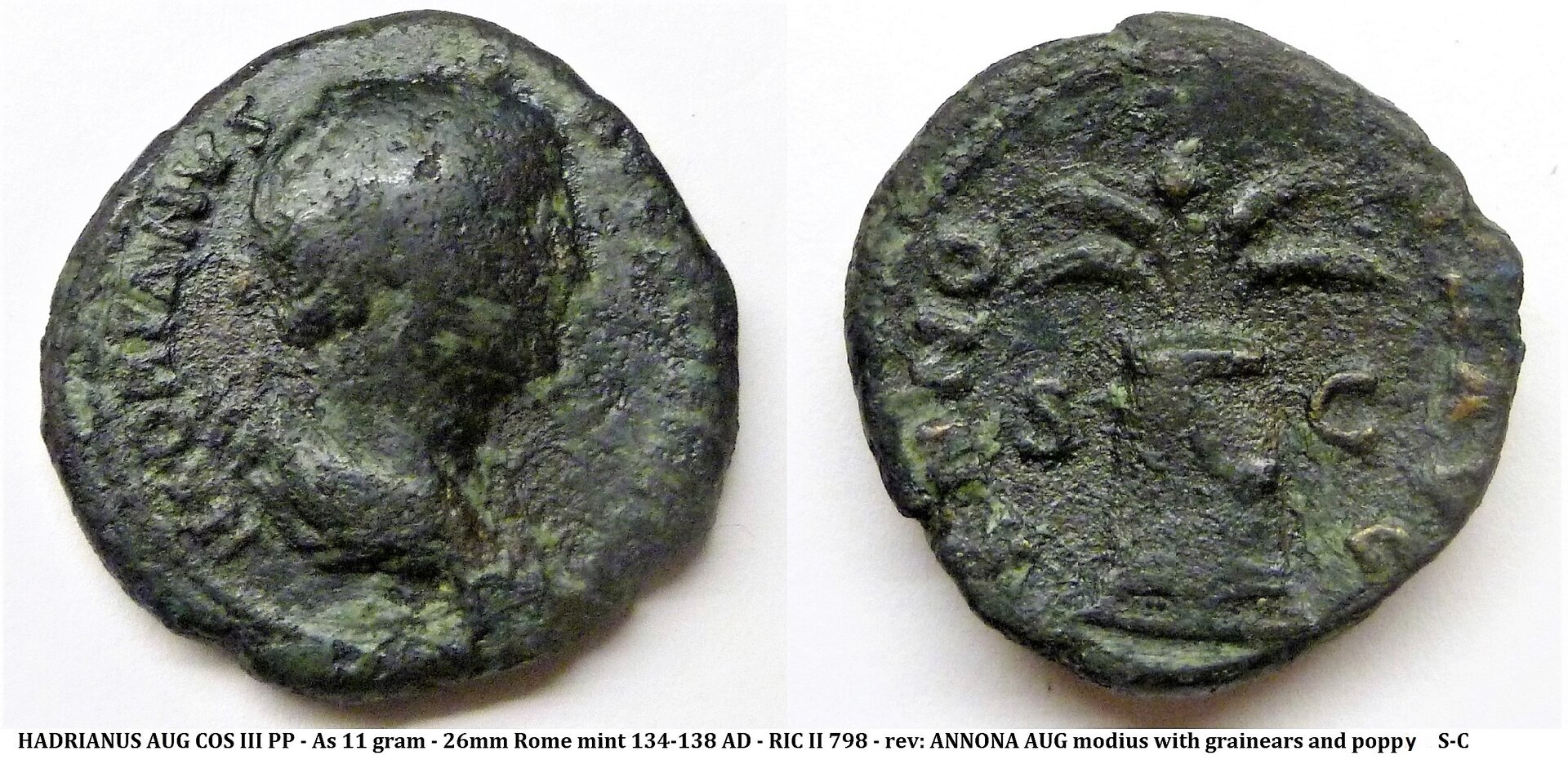 Hadrianus ANNONA bv.jpg