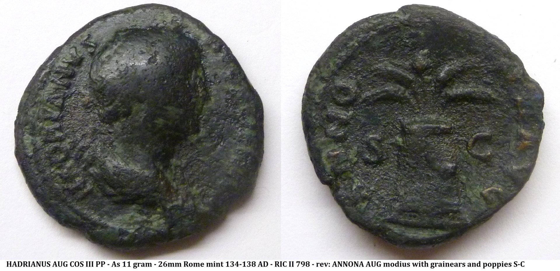 Hadrianus ANNONA bv.jpg