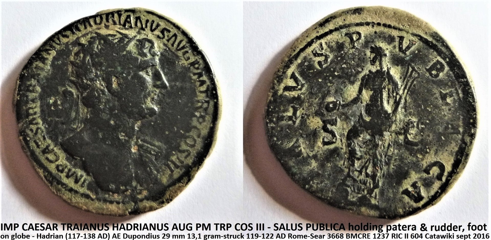 Hadrianus Salus (2).JPG