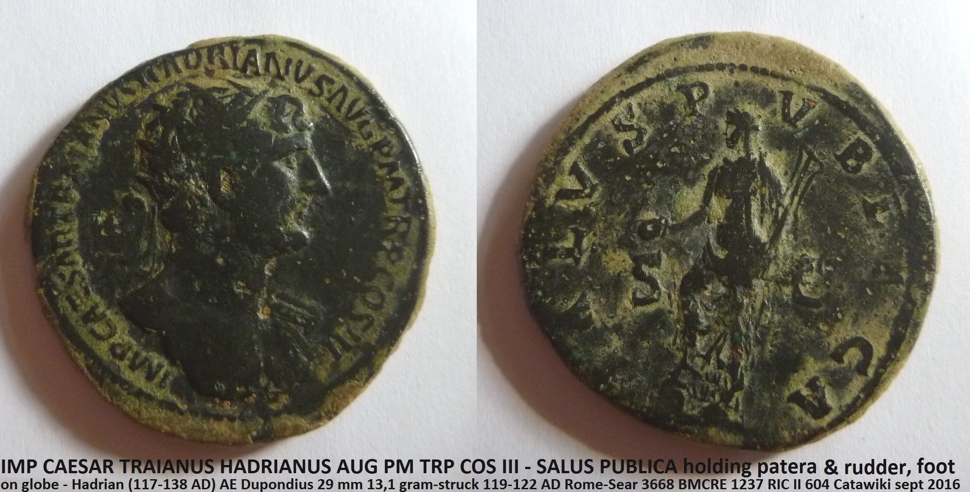 Hadrianus Salus.JPG