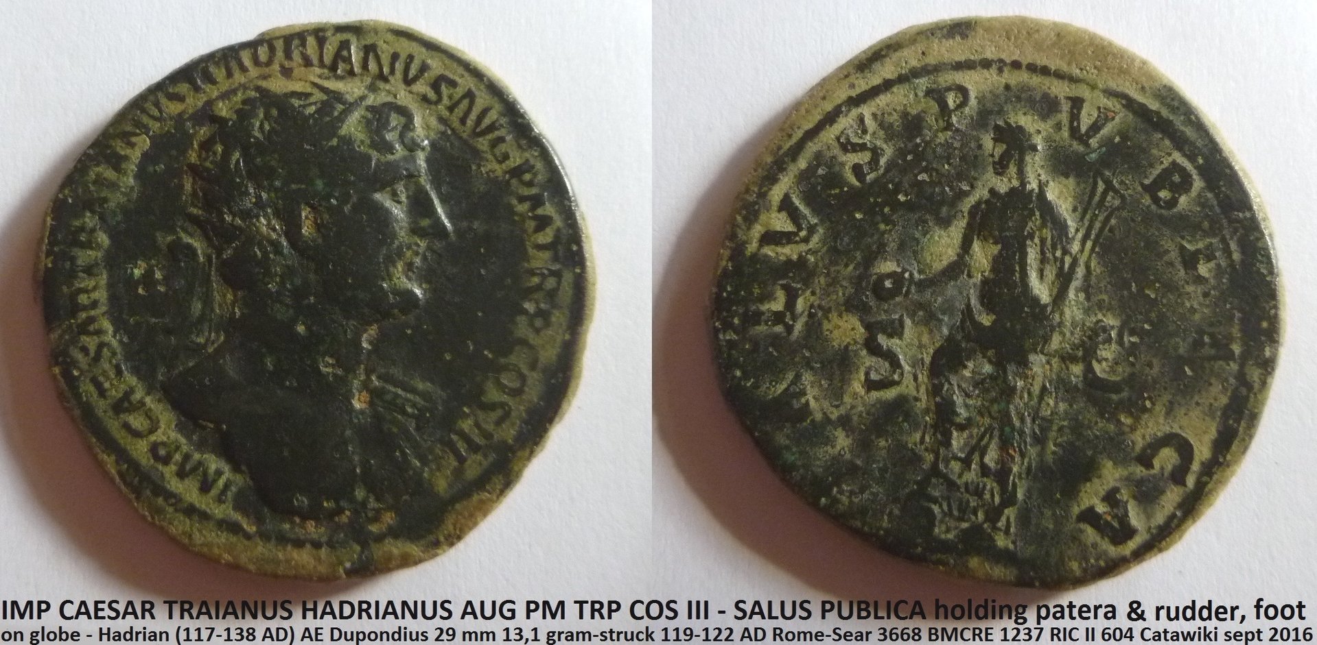 Hadrianus Salus.JPG