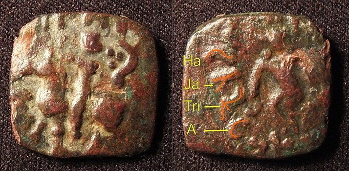 HajatriaSmallWeb.jpg