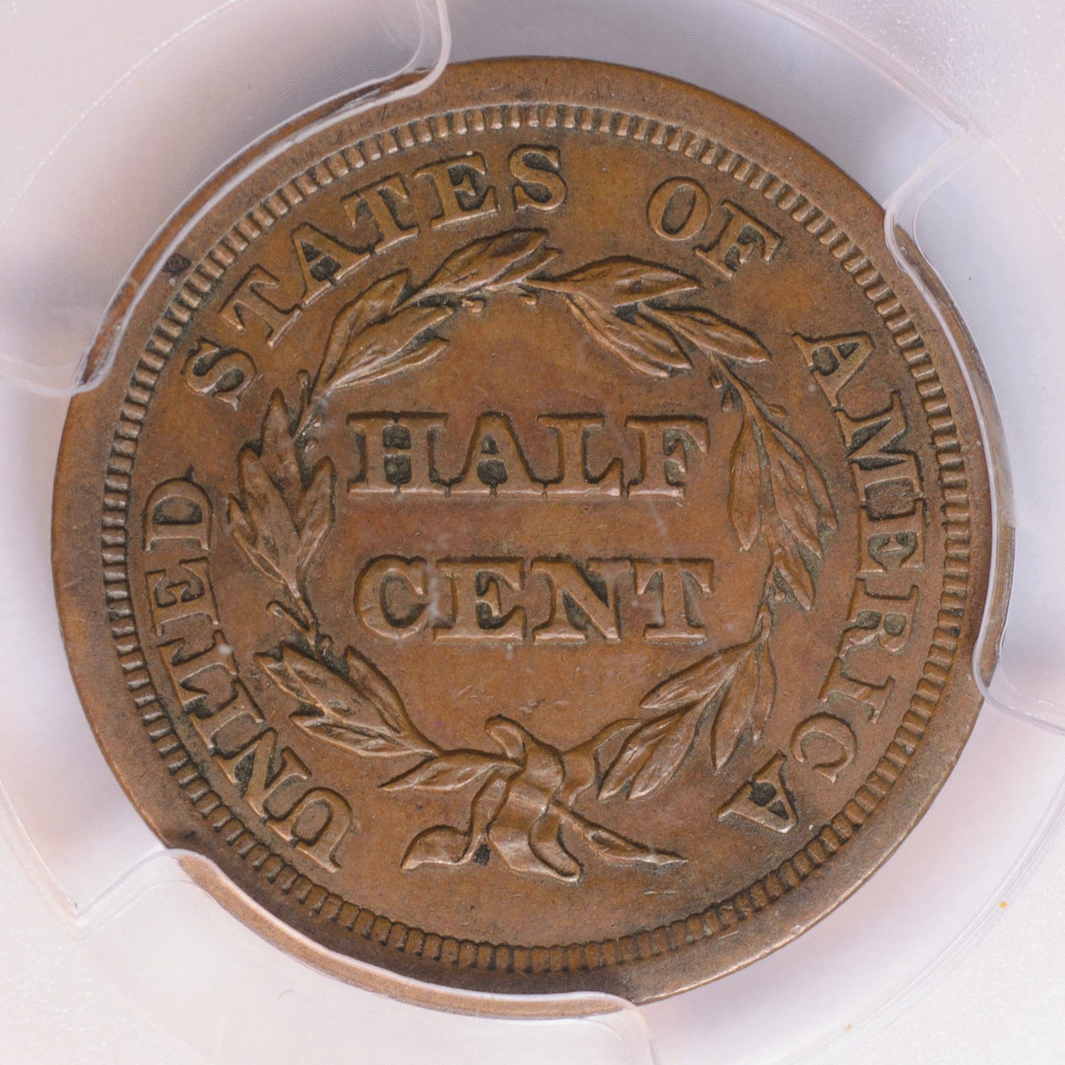 half cent slab renew.gif