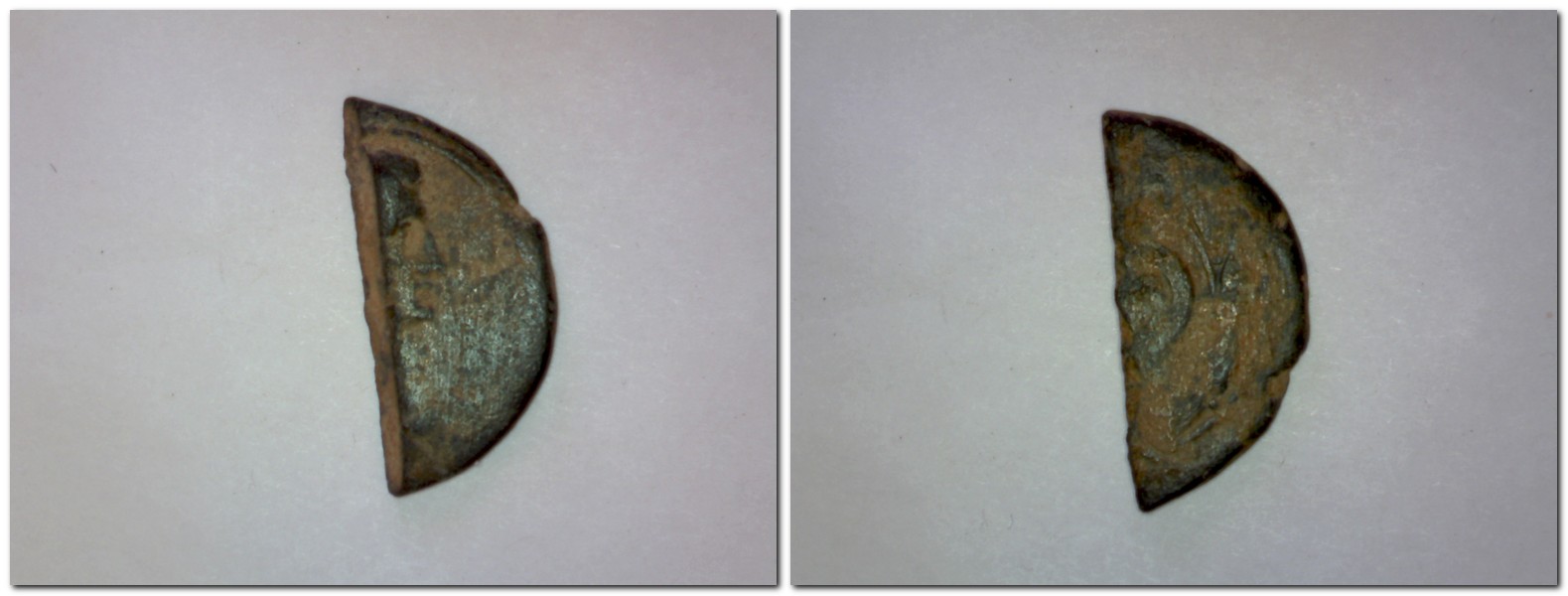 Half coin 3.jpg