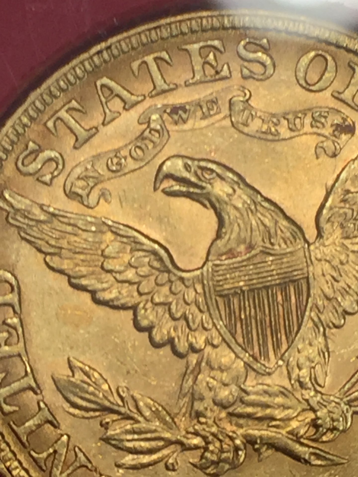 Half Eagle.jpeg