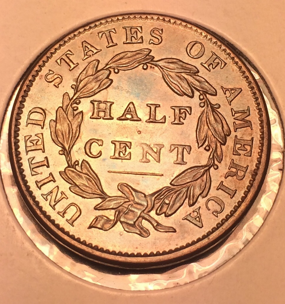 halfcent2.jpg