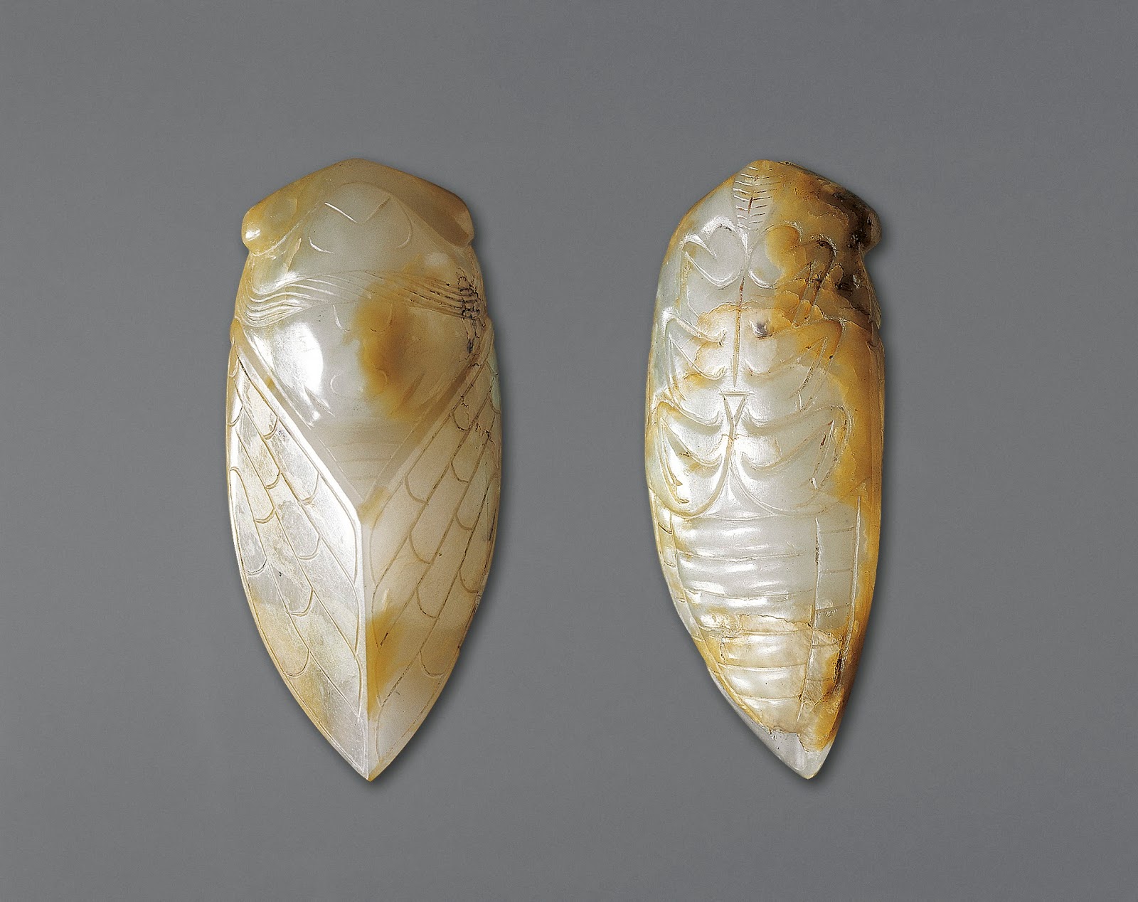 Han_Tomb- Cicada.jpg