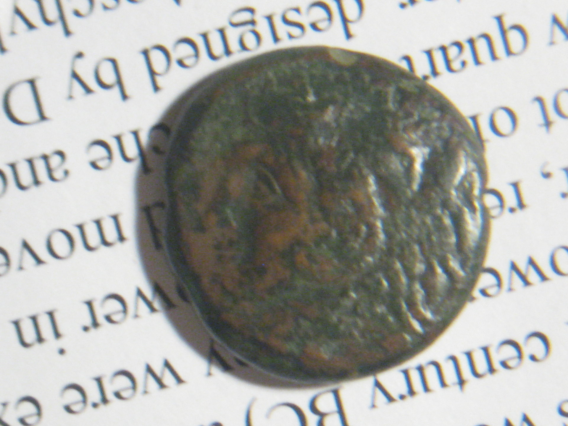 handguard pyrrhos pyhrrus 011.JPG