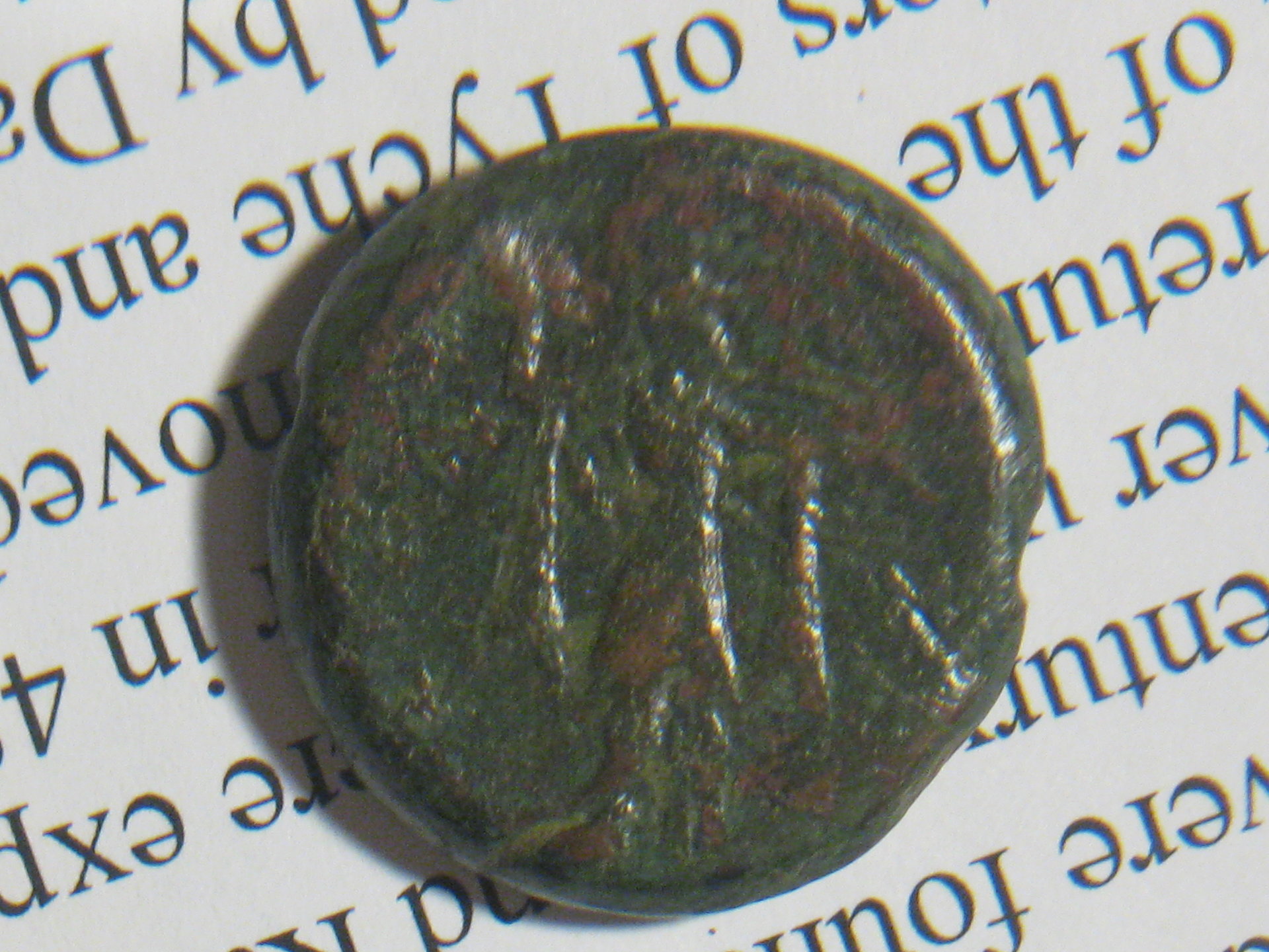 handguard pyrrhos pyhrrus 012.JPG