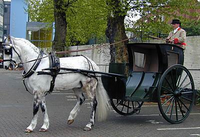 hansomcab.jpg