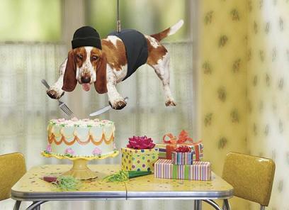 happy%20birthday.jpg
