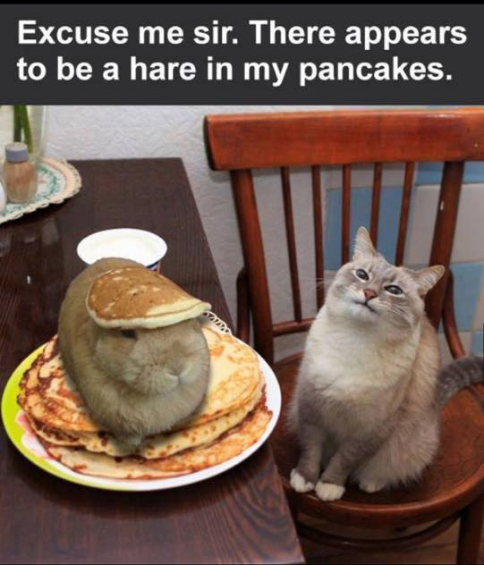 Hare_In_My_Pancakes.jpg
