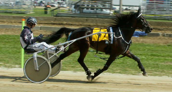 harness-racing-geaugafair.jpg