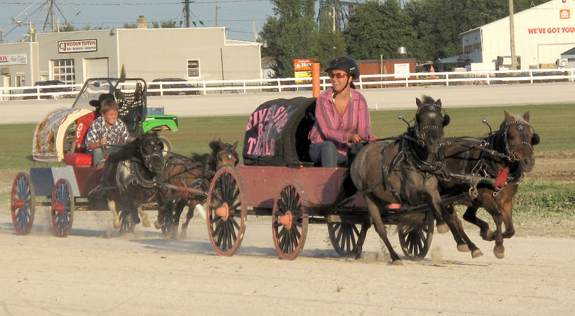 harness racing.jpg