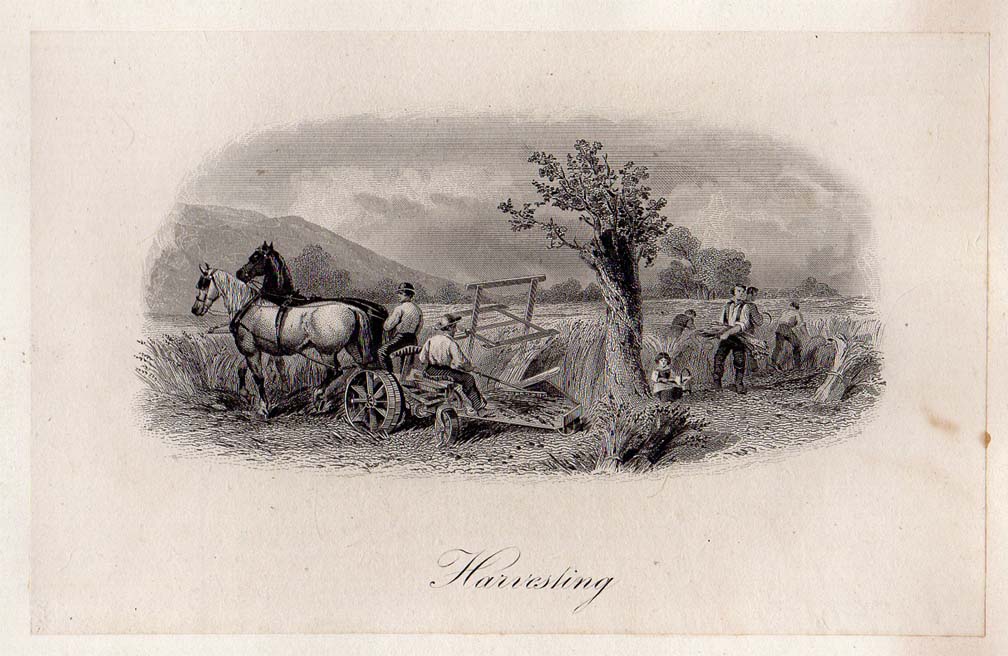 Harvesting cu.jpg