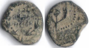 hasmonean.jpg