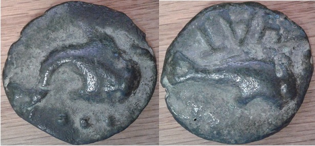 HAT Teruncius cgb 9.7.2021 a.jpg