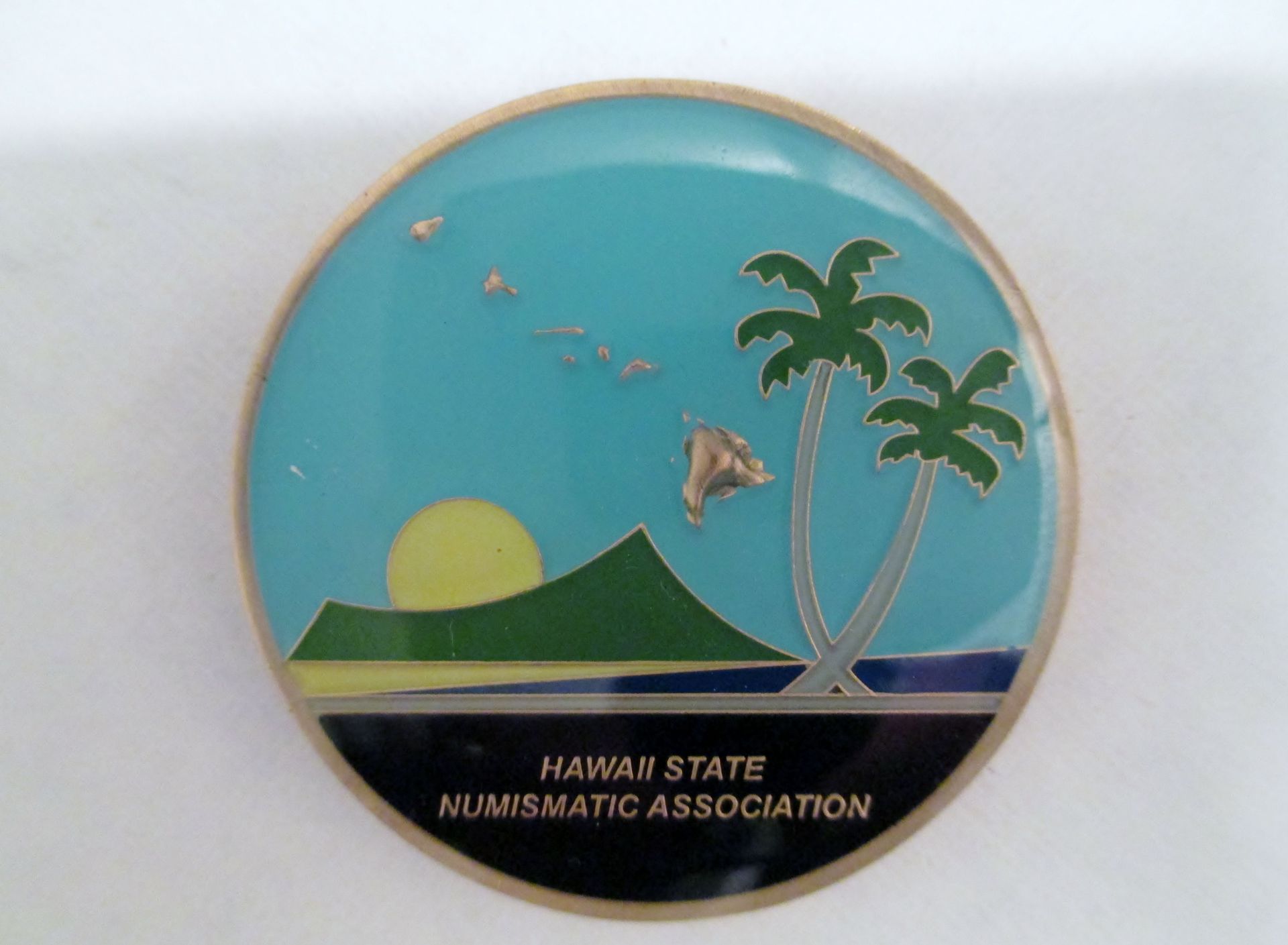 Hawaii 50th 2.JPG