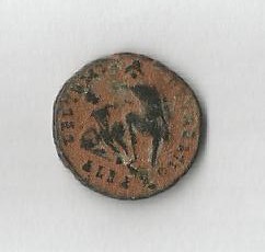 Head Horse R.jpg